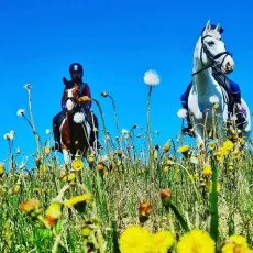 Конная прогулка по территории парка Русь