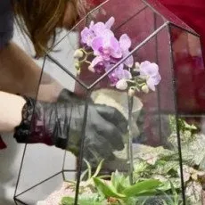 Мастер-класс Создание флорариума