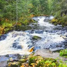 Тур Лучшее в Карелии водопады лес уха и музей в скале