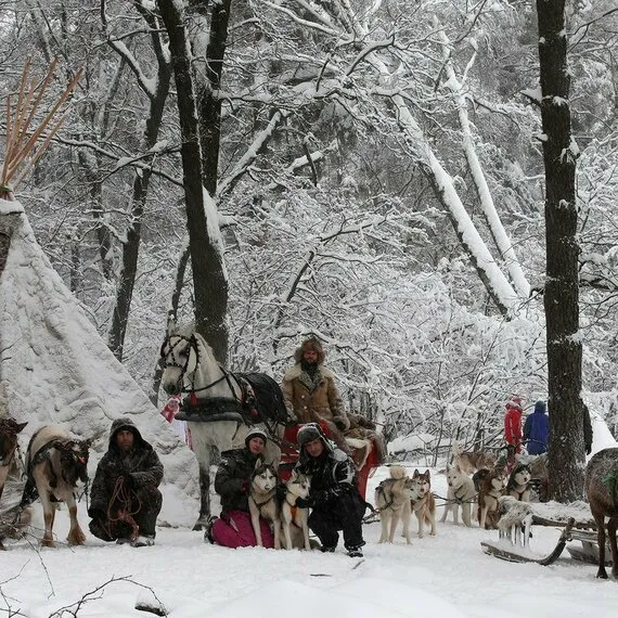 Экскурсия Северные олени и ездовые собаки
