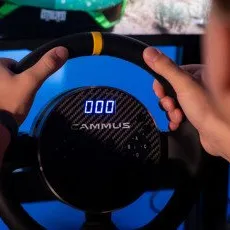 Заезд на автосимуляторе