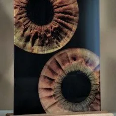 Фото радужки глаз на стекле