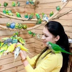 Галерея птиц Попугайня