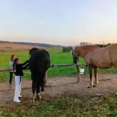 Конная прогулка для детей