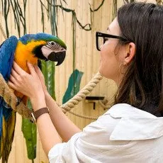 Галерея птиц Попугайня