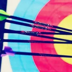 Стрельба из лука и арбалета или винтовки