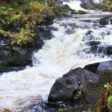 Карельские выходные ЛАЙТ