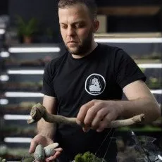 Мастер класс Флорариум 