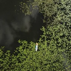 SUP прогулка по реке Сестра