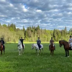 Конные прогулки