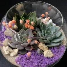 Мастер класс создание флорариума 