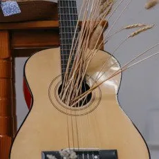 Музыкальные инструменты /вокал /актерское мастерство онлайн