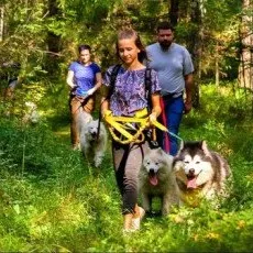 Дог трекинг 3,5 км: посещение питомника и прогулка с ездовой собакой 