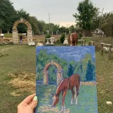 Рисование лошадей с натуры