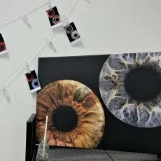 Фото радужки на большом формате