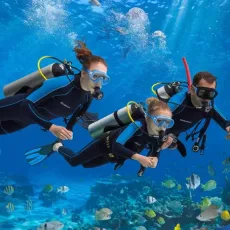 Индивидуальный курс дайвинга PADI Open Water Diver