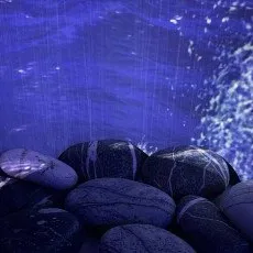 Свидание в Большой стране