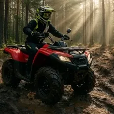 Квадротур на квадроциклах Лесные приключения