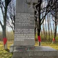 Экскурсия по Дороге жизни