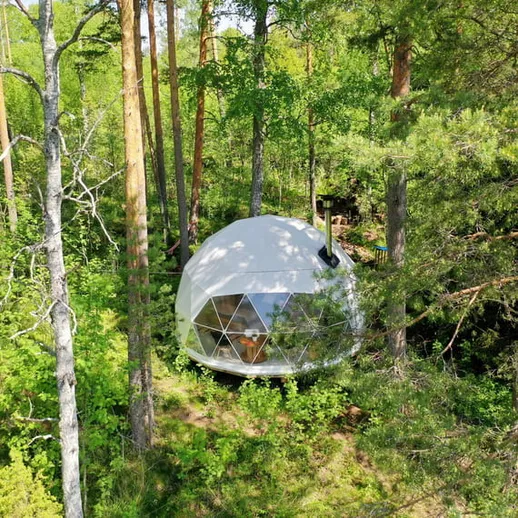 Уникальный геодезический купол на лесной поляне среди деревьев под ярким солнечным светом