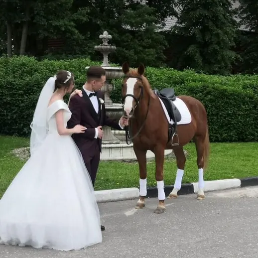 Свадебная фотосессия рядом с фонтаном, пара и лошадь на зеленом фоне