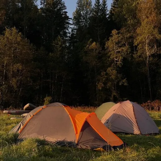 Пейзаж с палатками на фоне леса в осеннее время
