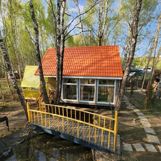 Уютный домик на дереве в лесу, окружённом зелёными деревьями и открытым небом в солнечный день