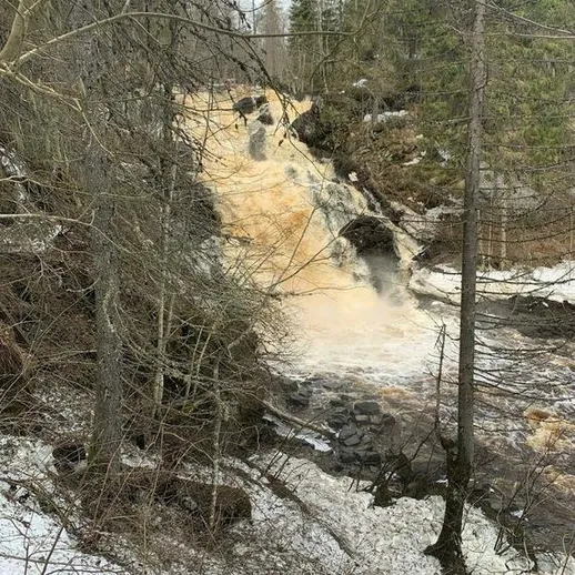 Водопад весной: буйное течение воды на фоне леса и тающего снега в России