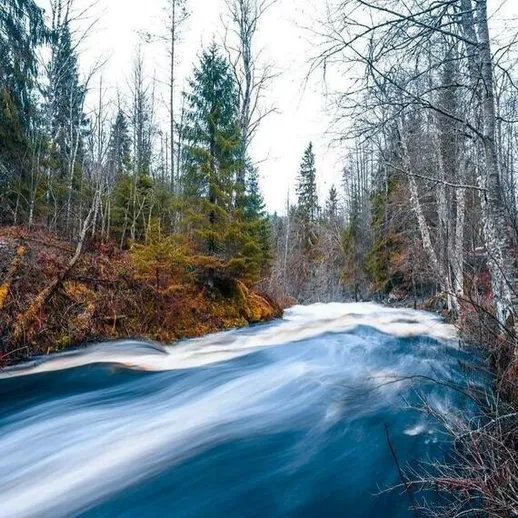 Быстрая река среди леса весной, с зеленью на берегах и облачным небом над головой