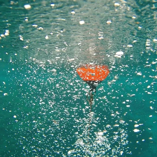 Подводный пейзаж с пузырьками и красным предметом в верхней части воды во время активной деятельности на водоёме