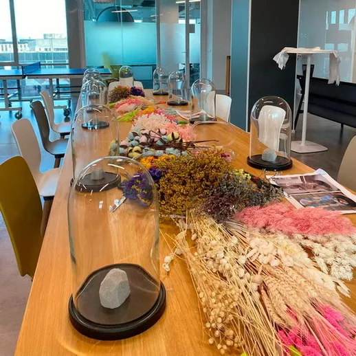 Столовая комната с множеством декоративных цветов под стеклянными куполами на длинном деревянном столе