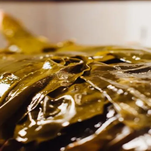 Листья водорослей на столе, готовящиеся для приготовления традиционного блюда в ресторане морепродуктов