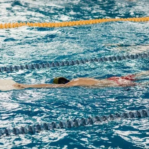 Пловцы тренируются в бассейне на соревнованиях по плаванию в утреннее время