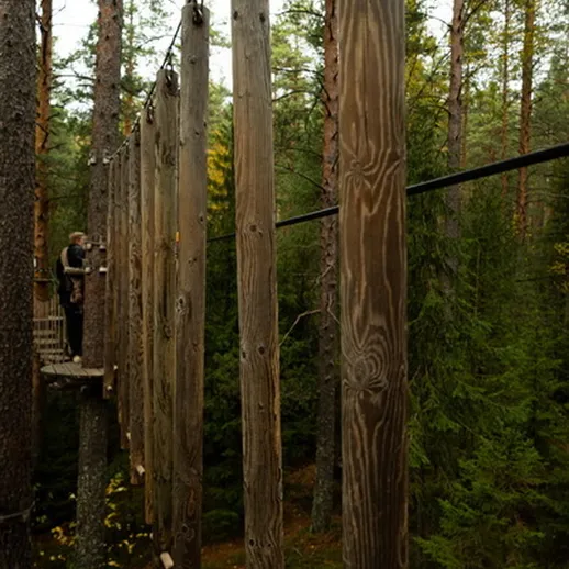 Человек на подвесном мосту среди деревьев в лесу, исследующий природу в прохладное время года