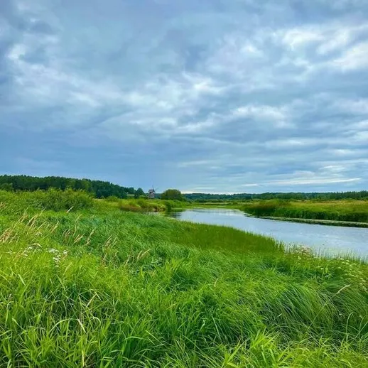Невысокие зелёные травы вдоль реки под облачным небом в летний день