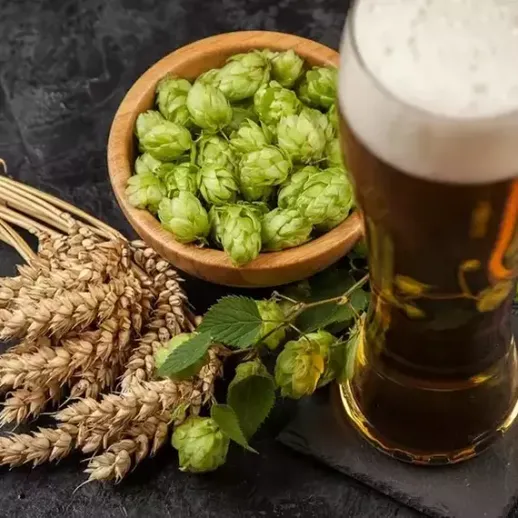 Воскрешение вкусов пива с хмелем и ячменем на черном фоне в уютной обстановке