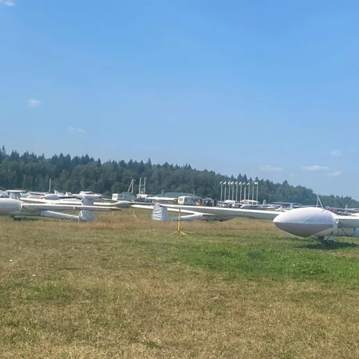 На аэродроме множество планеров на травяном поле под ясным небом в летний день