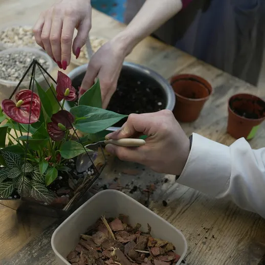 Участники мастер-класса по созданию флорариума в уютной мастерской в середине осени