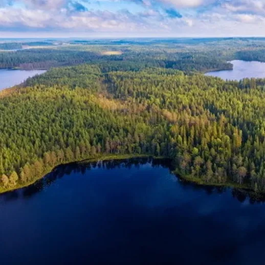 Красивый лесной ландшафт с озерами на рассвете, расположенный на северо-западе России