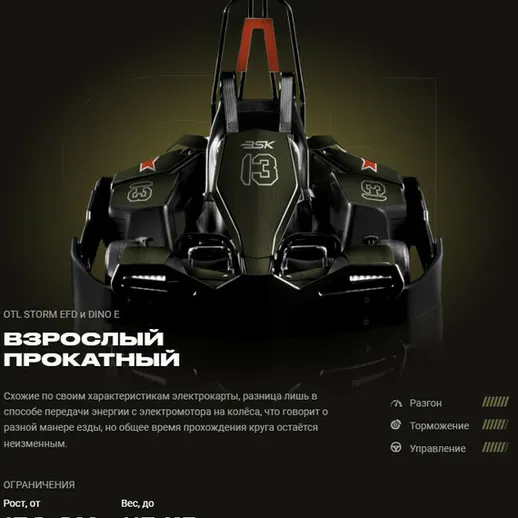 Взрослый прокатный электромобиль для развлечений в закрытом помещении на выставке технологий