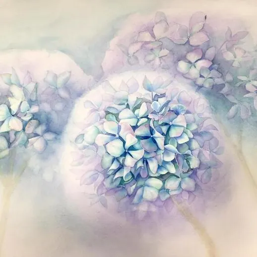 Летние цветы гортензии в нежных оттенках синего и белого на мягком светлом фоне