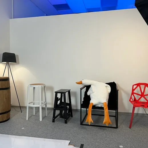 Студийное пространство с декором и уткой на стуле, выполненное в современном стиле, освещенное мягким светом