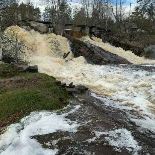 Разрушительный поток воды на реке в лесу во время весеннего половодья