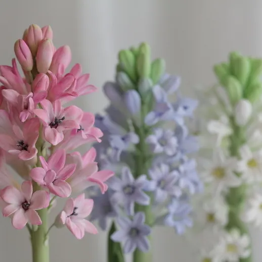 Прекрасные цветы фрезии разных оттенков на светлом фоне в помещении