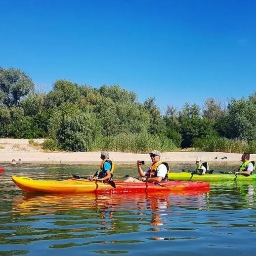 Групповая каякинговая прогулка по реке в ясный день на фоне зелёных деревьев