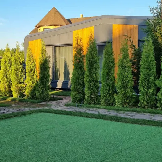 Зеленый газон и современный дом среди хвойных деревьев на фоне ясного неба в солнечный день