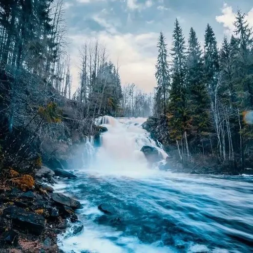 Красивый водопад на фоне сосен в ясный день, запечатленный уникальным светом и атмосферой природы весной