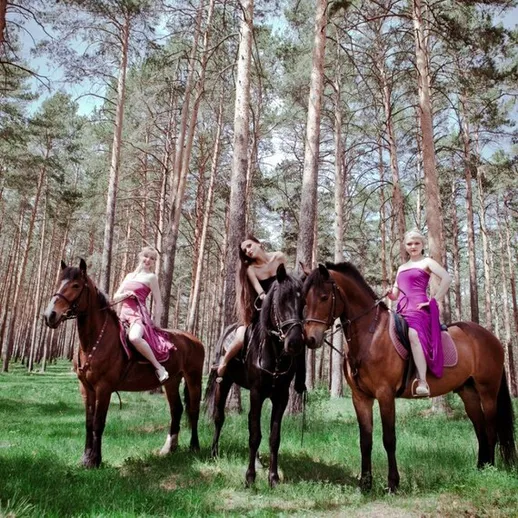 Живописная прогулка верхом на лошадях по сосновому лесу в светлое время дня