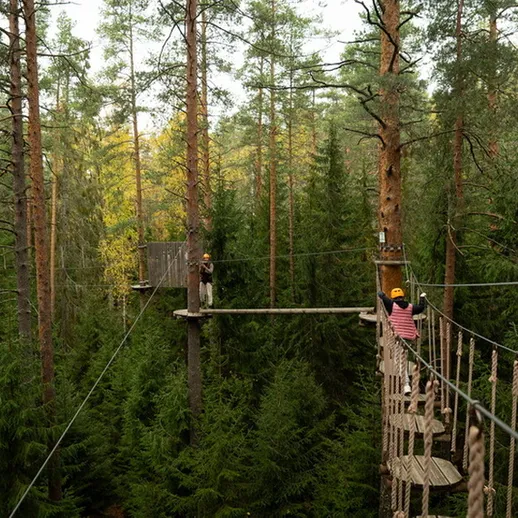 Люди проходят по воздушному маршруту между деревьями в лесу в осеннее время года