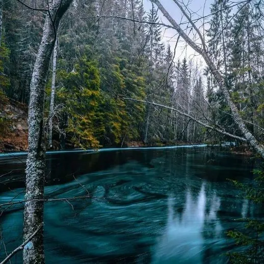 Тихий лесной уголок у озера с кристально чистой водой и зелеными деревьями весной